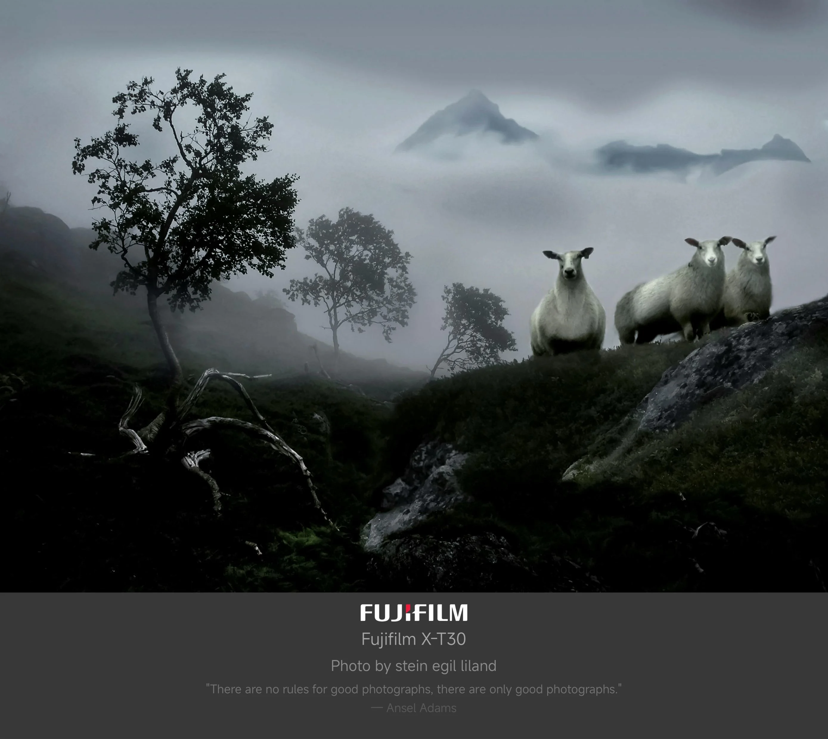 Cinematic EXIF Template