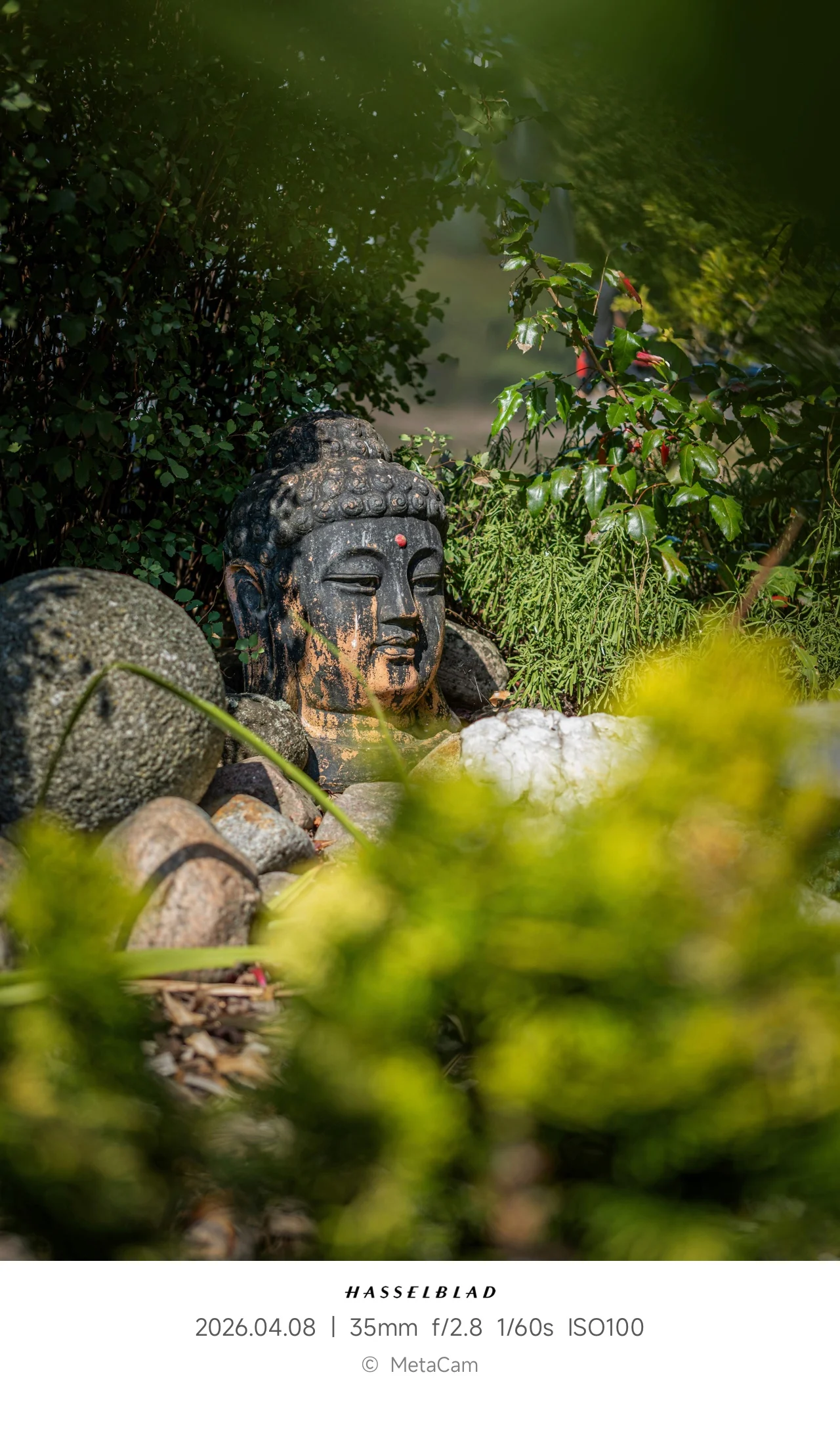 ClassicWhite EXIF Template