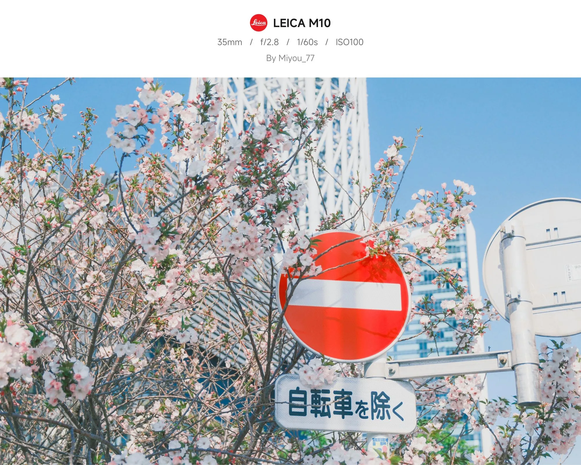 InfoTop EXIF Template