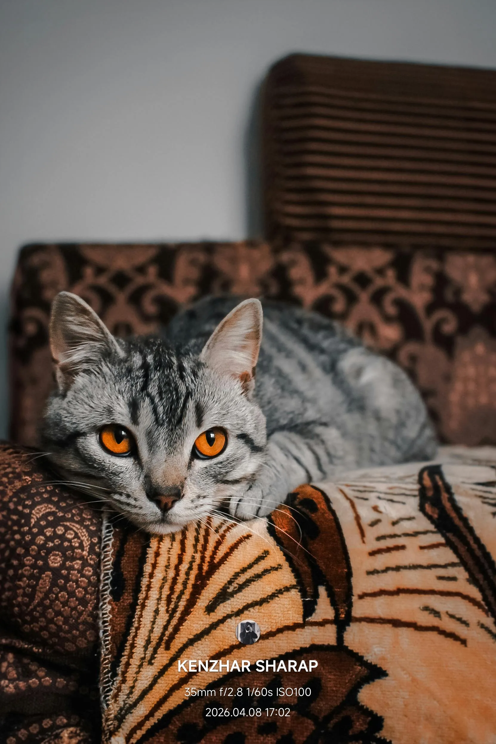 OverlayCenter EXIF Template