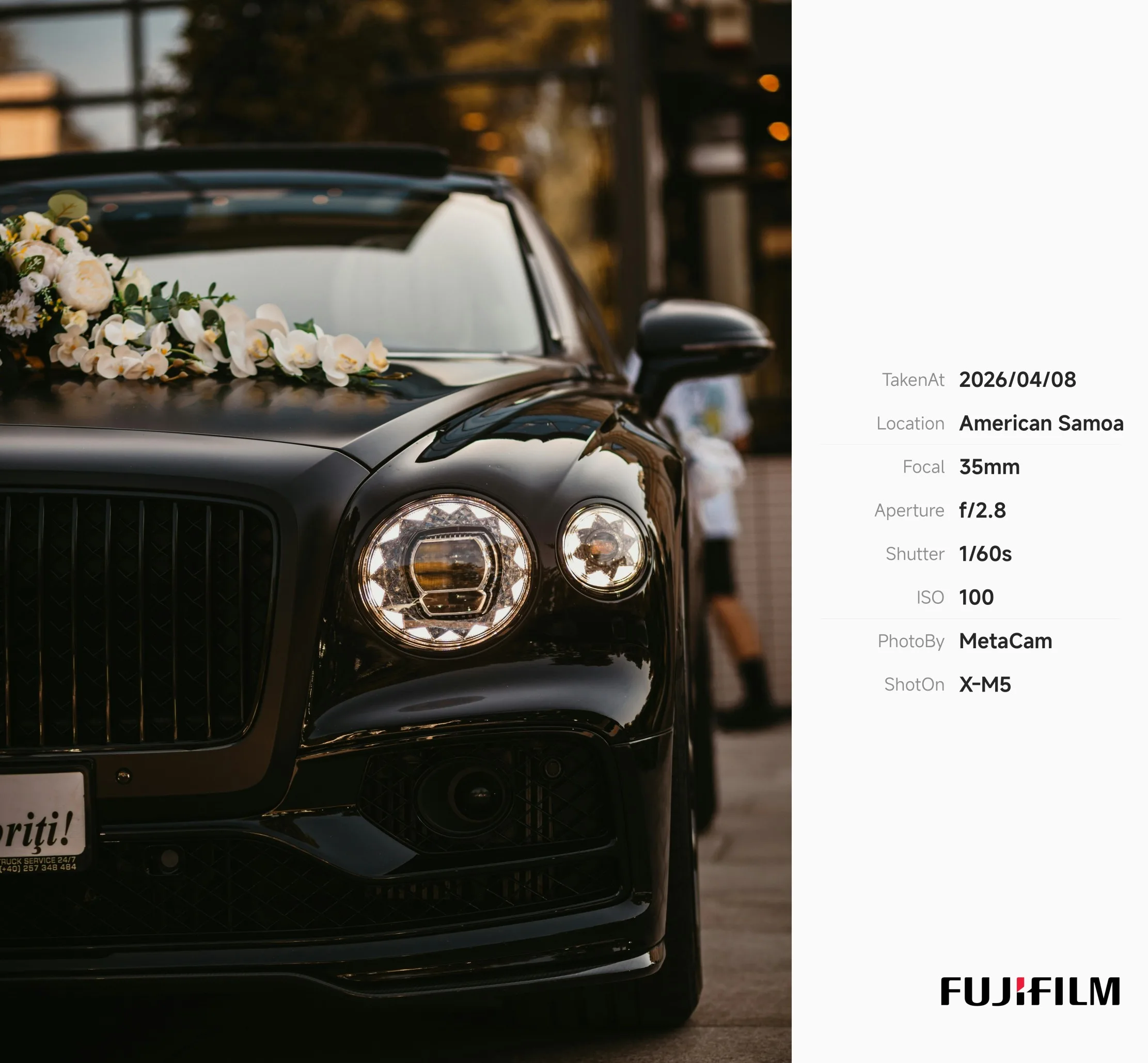 SidePanel EXIF Template