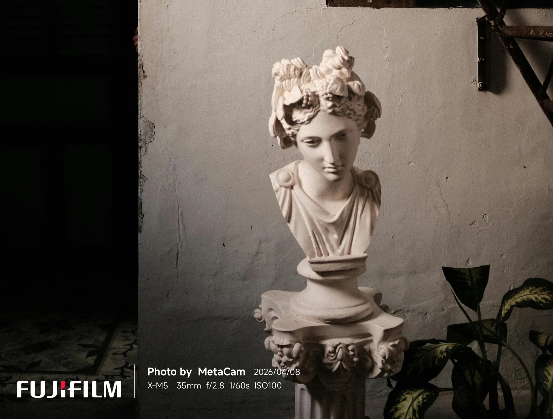 VerticalLine EXIF Template